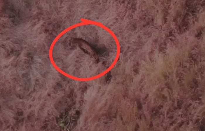 Photo - अभिषेक साहेबराव सणस